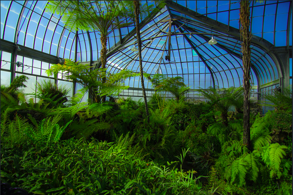 Anna Scripps Whitcomb Conservatory